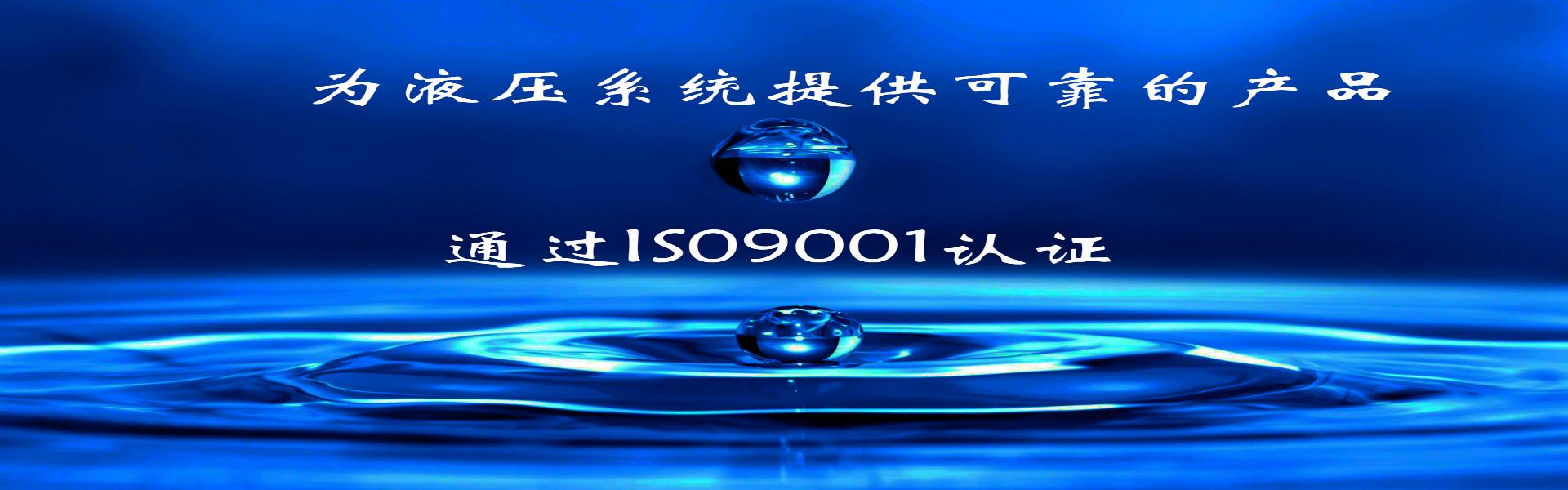 油过滤器型号规格,全面解析各类油过滤器的性能与应用_吸油滤清器_多肉小野猫维密照片在线观看 - 独家写真，揭秘网红私密瞬间​
